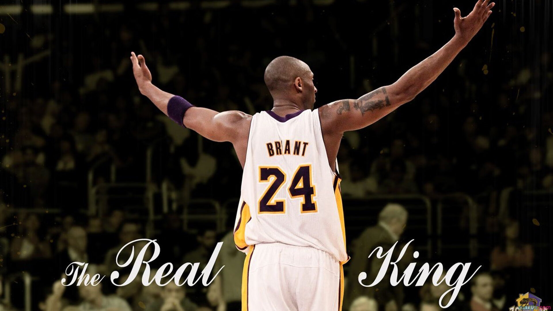 新生代选手表现受到关注